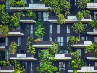 Close-up of a green house facade
