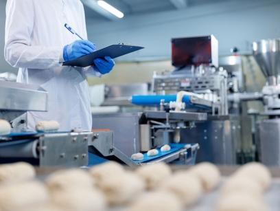 Automated food production line monitored by an employee in a processing facility