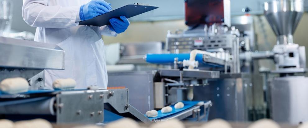 Automated food production line monitored by an employee in a processing facility